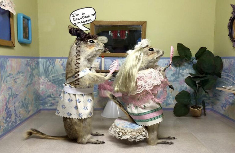 Gopher Hole OPT 768x500