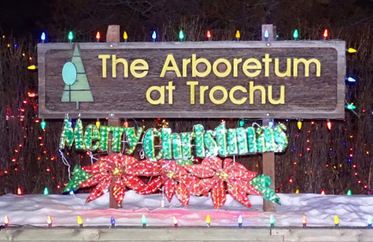 Trochu Arboretum 2 OPT 768x500